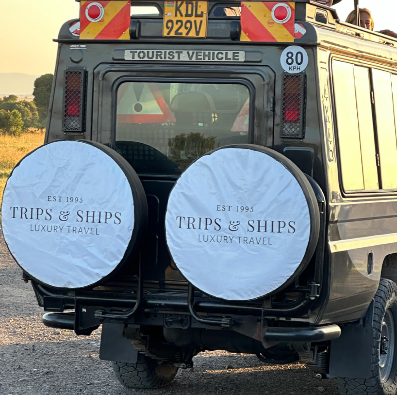 Luxury African safari experience