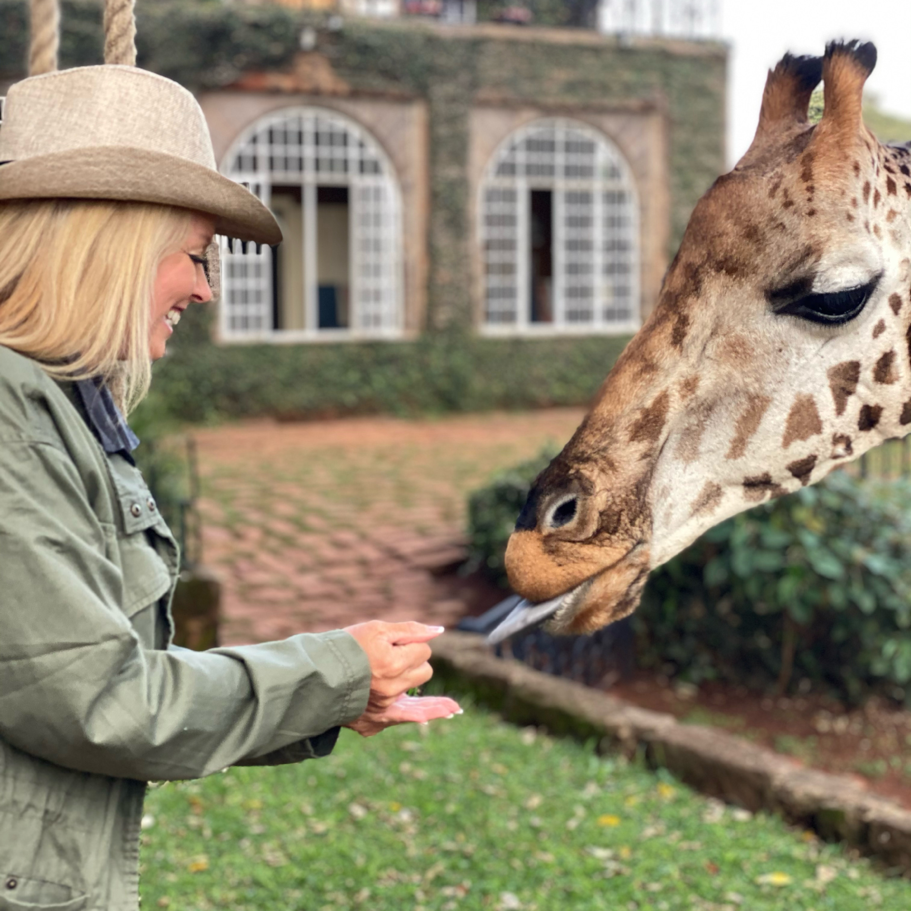 African wildlife