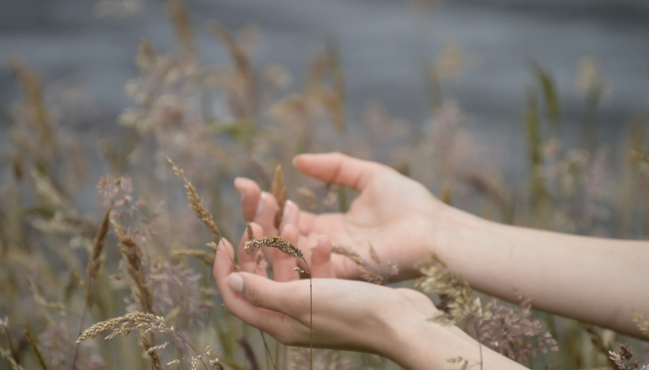 Amatoria Medical anxiety treatment in Tooele, Utah