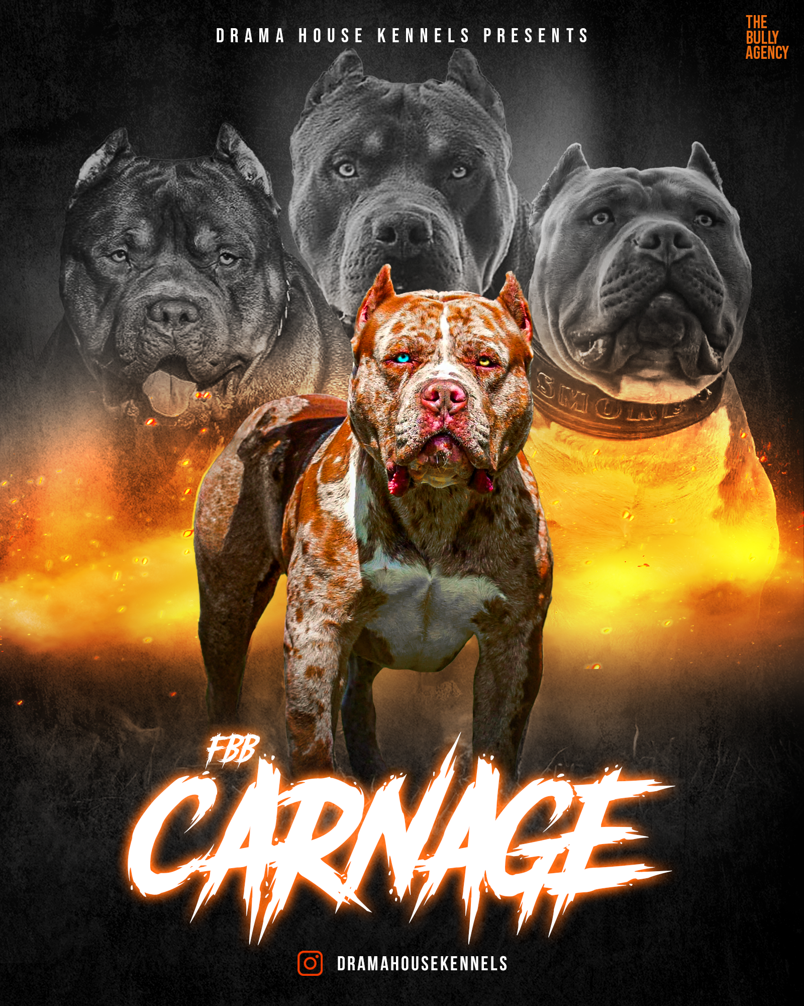 FBB Carnage