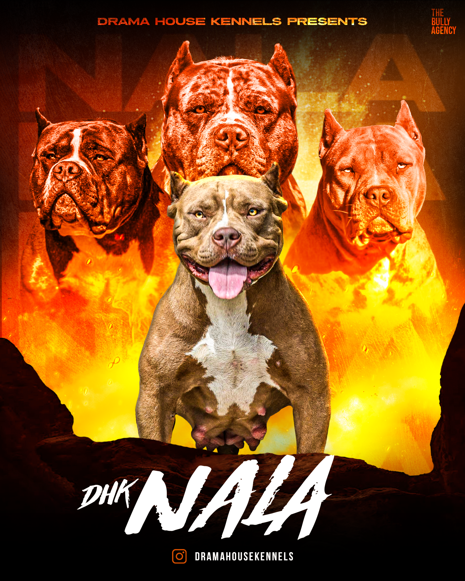 DHK Nala