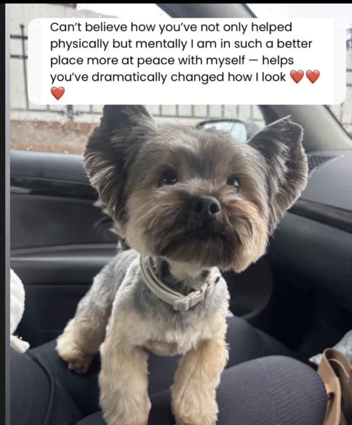 Client message