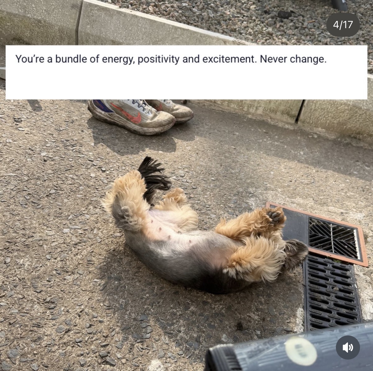 Client message