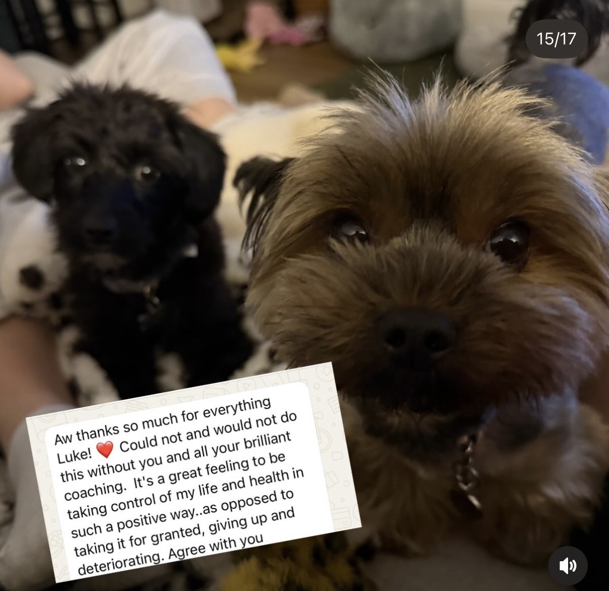 Client message