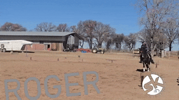 Jen Springer galloping a horse