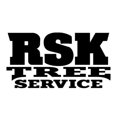 Tree Service & Removal in Amston, CT