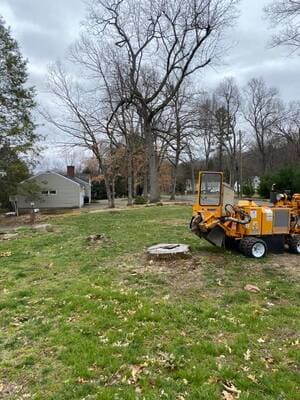 {{ custom_values.service_3 }} in {{custom_values.area_4})