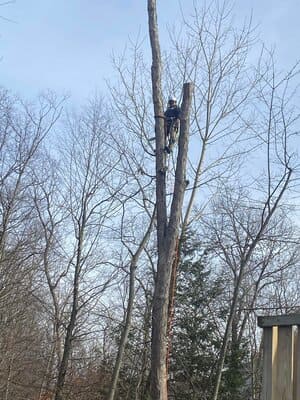 {{ custom_values.service_1 }} in {{custom_values.area_3})