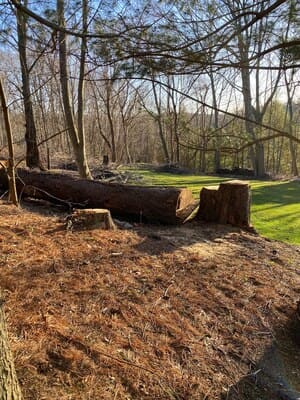 {{ custom_values.service_2 }} in {{custom_values.area_6})