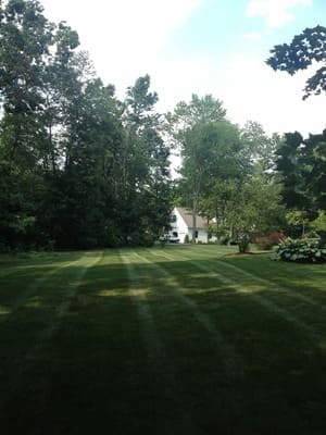 {{ custom_values.service_4 }} in {{custom_values.area_2})