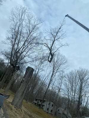 {{ custom_values.service_1 }} in {{custom_values.area_2})