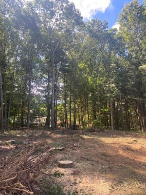 {{ custom_values.service_4 }} in {{custom_values.area_5})