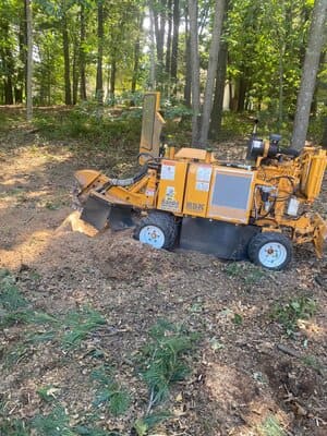 {{ custom_values.service_1 }} in {{custom_values.area_5})