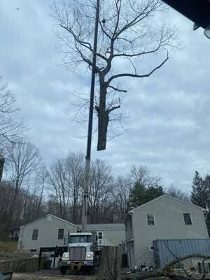 {{ custom_values.service_3 }} in {{custom_values.area_1})