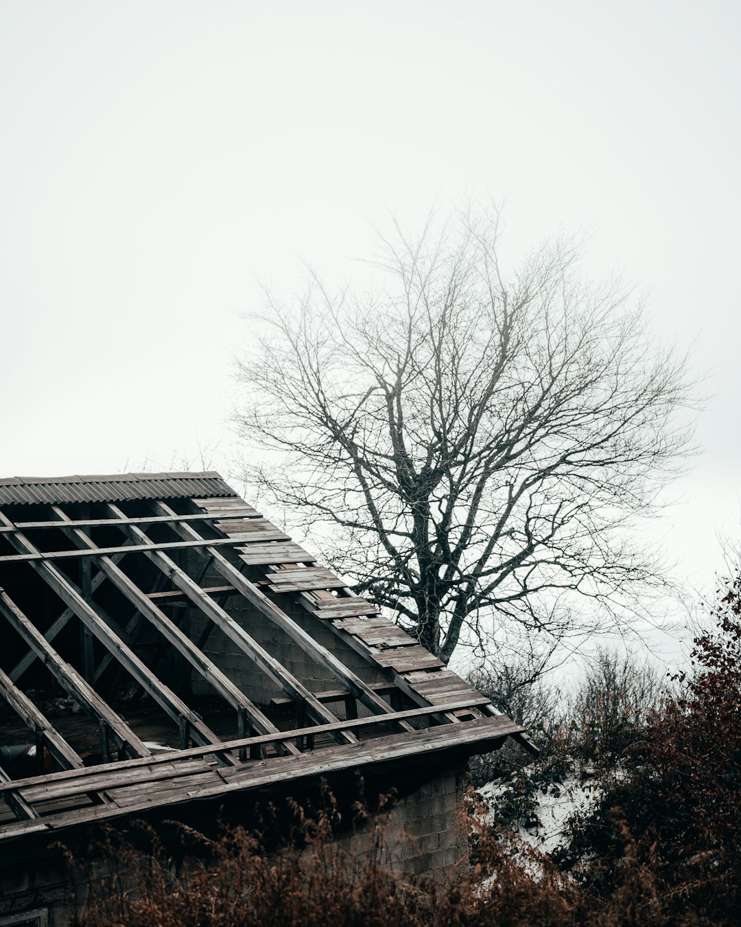 Insurance Restoration and Storm Damage service image