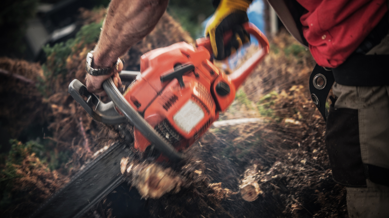 Tree service crew Greater Cincinnati
