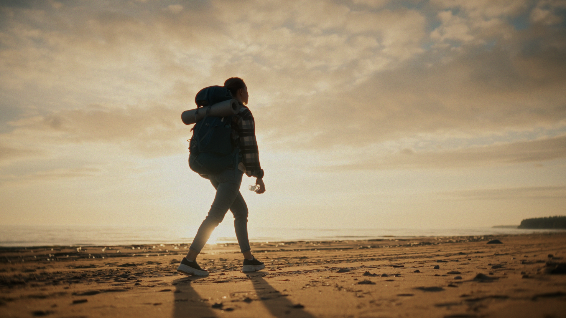 Dragon Flight Exterior