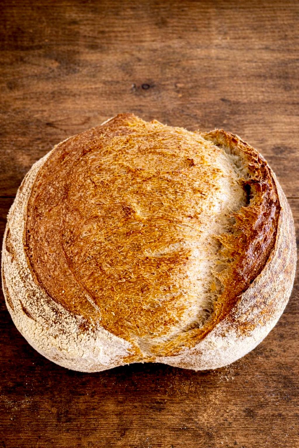 Artisan Sourdough - Freshly baked breads at Ganash Bakery
