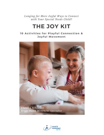 The Joy Kit cover