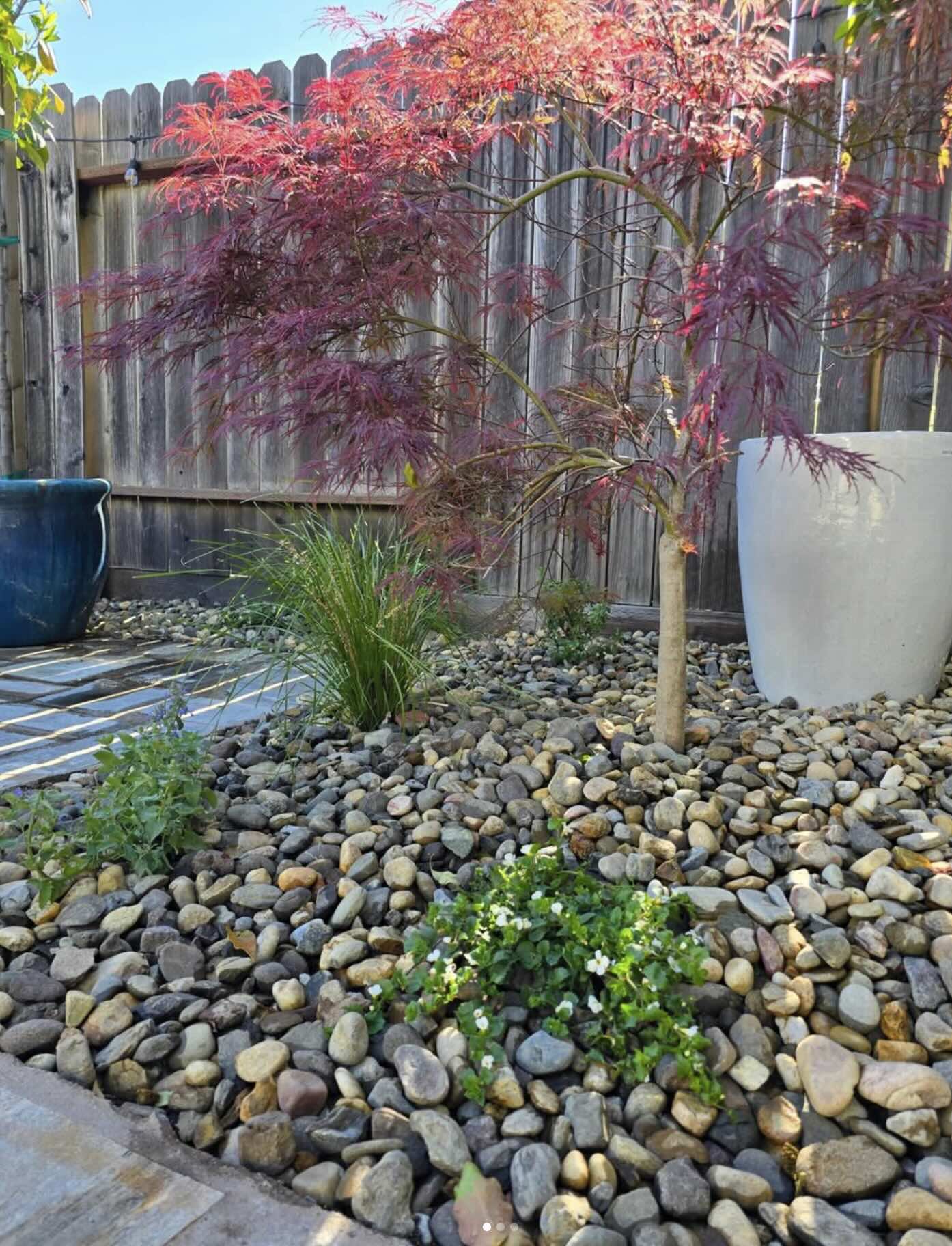 Landscape maintenance and lawn care