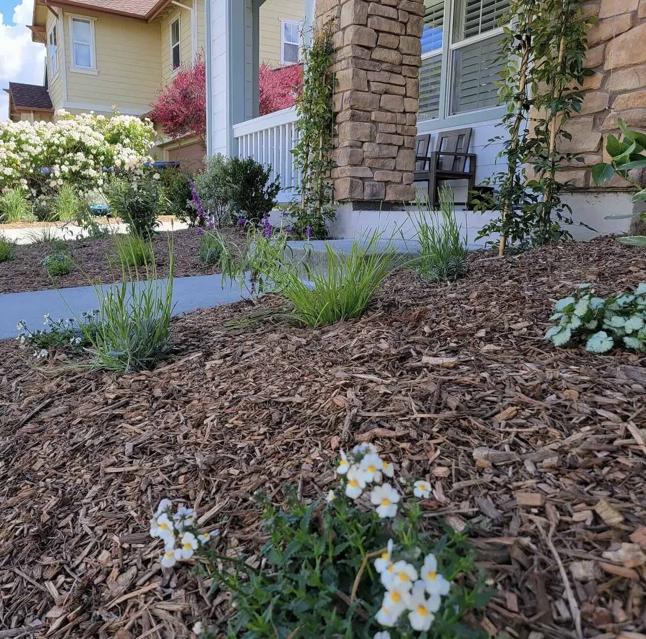Front yard landscape design with new mulch and fire wise / drought tolerant planting selection