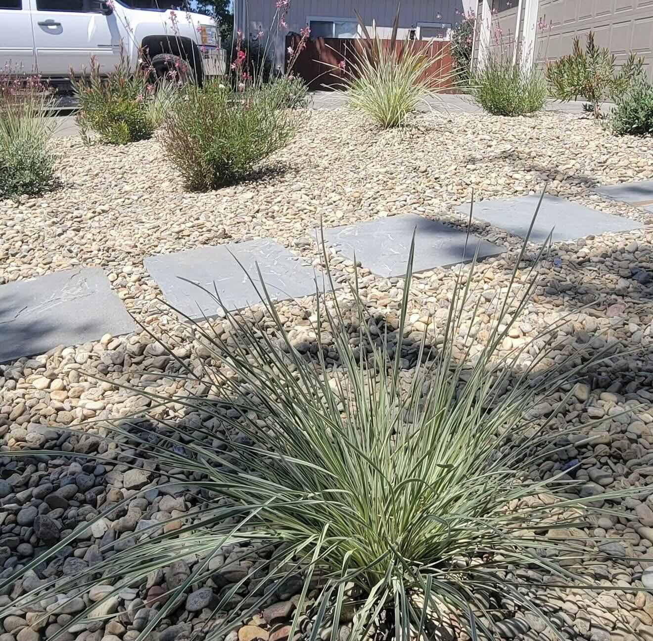 Front yard fire wise and drought smart hardscaping design project completed by RE Landscape Sonoma