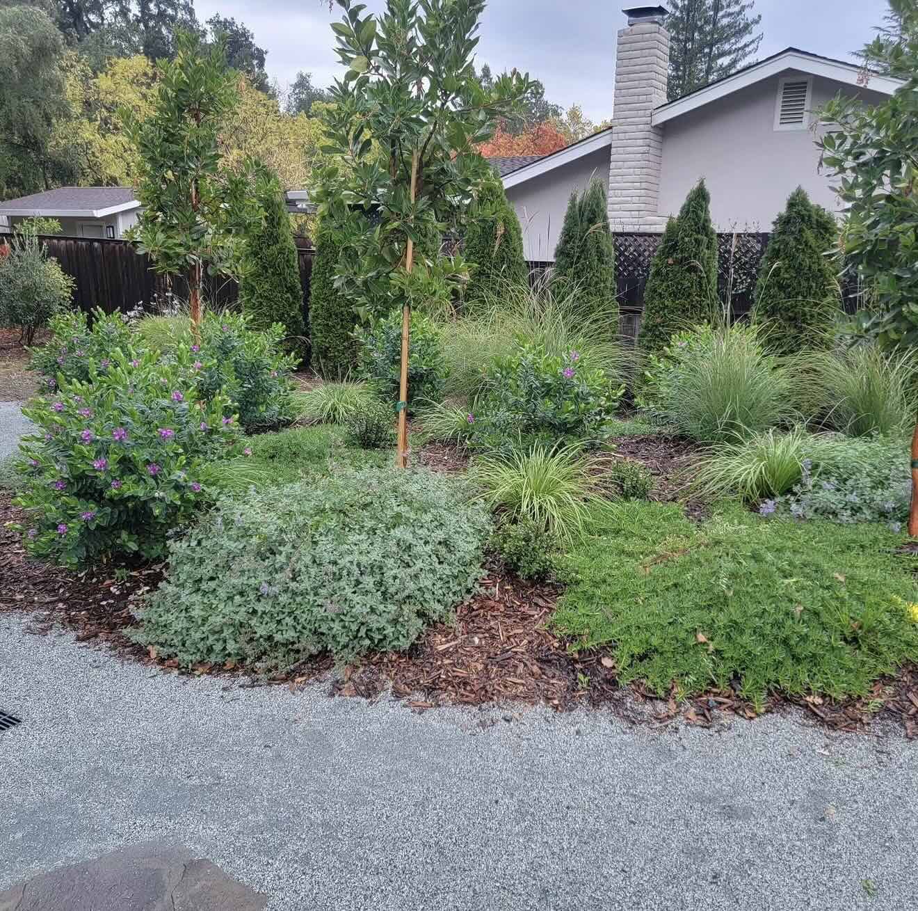 Custom landscape design project by RE Landscape Sonoma