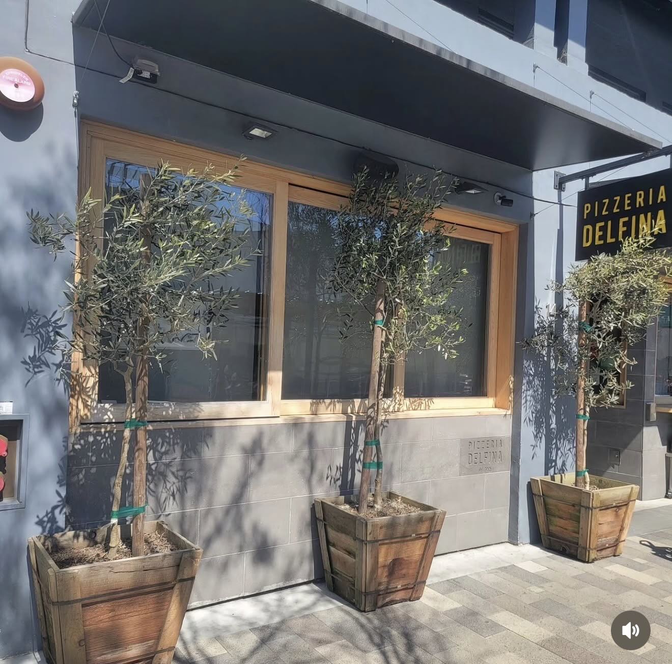 Commercial landscaping and grounds management for a Sonoma County property
