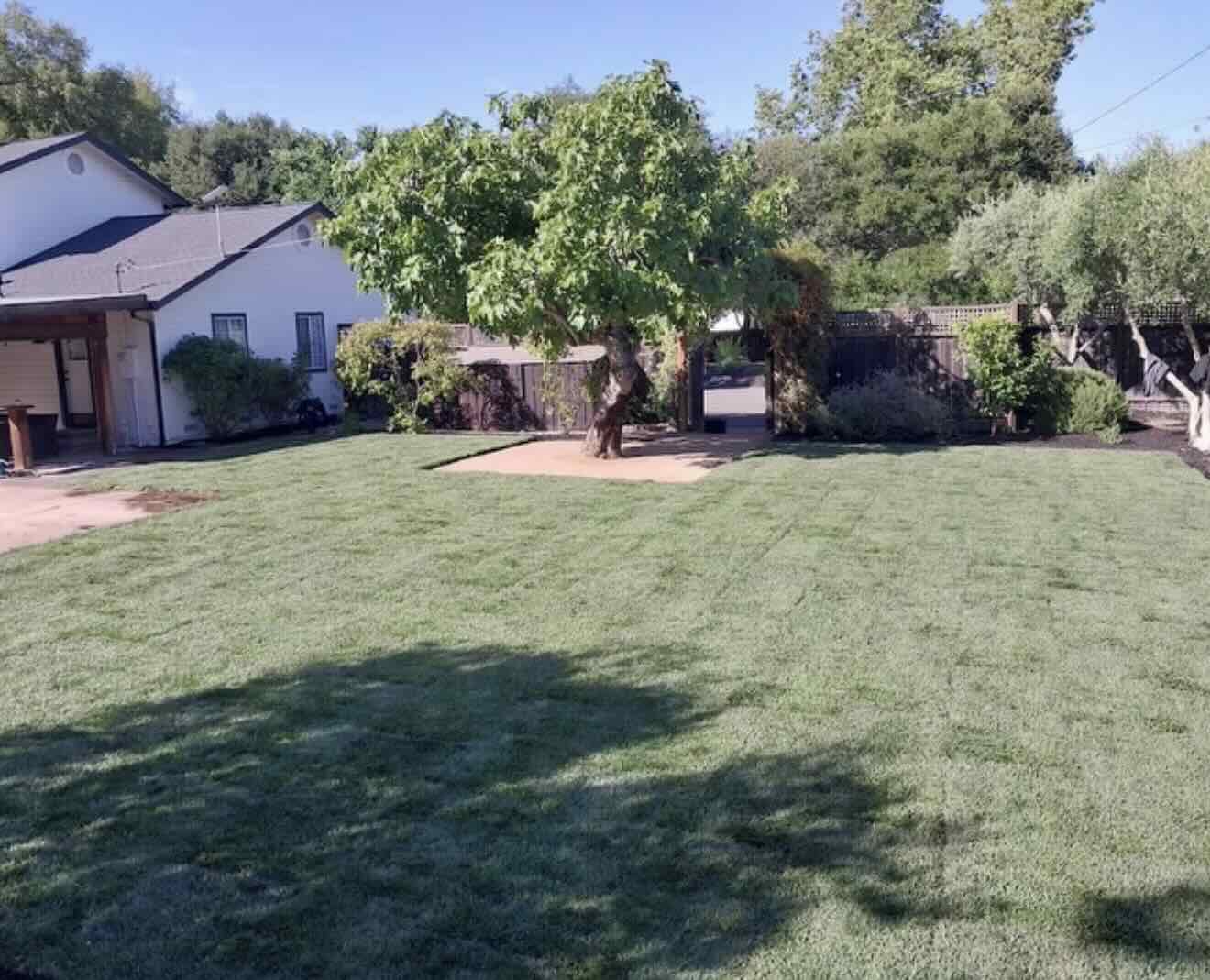 Recurring maintenance plan in Cotati by RE Landscape Sonoma