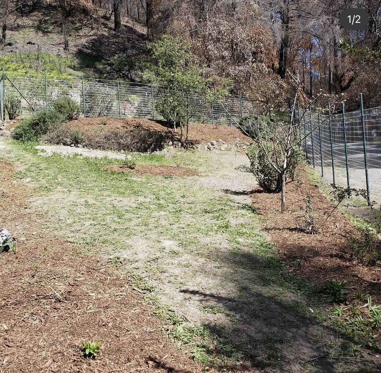 One time cleanup and maintenance project in Novato by RE Landscape Sonoma