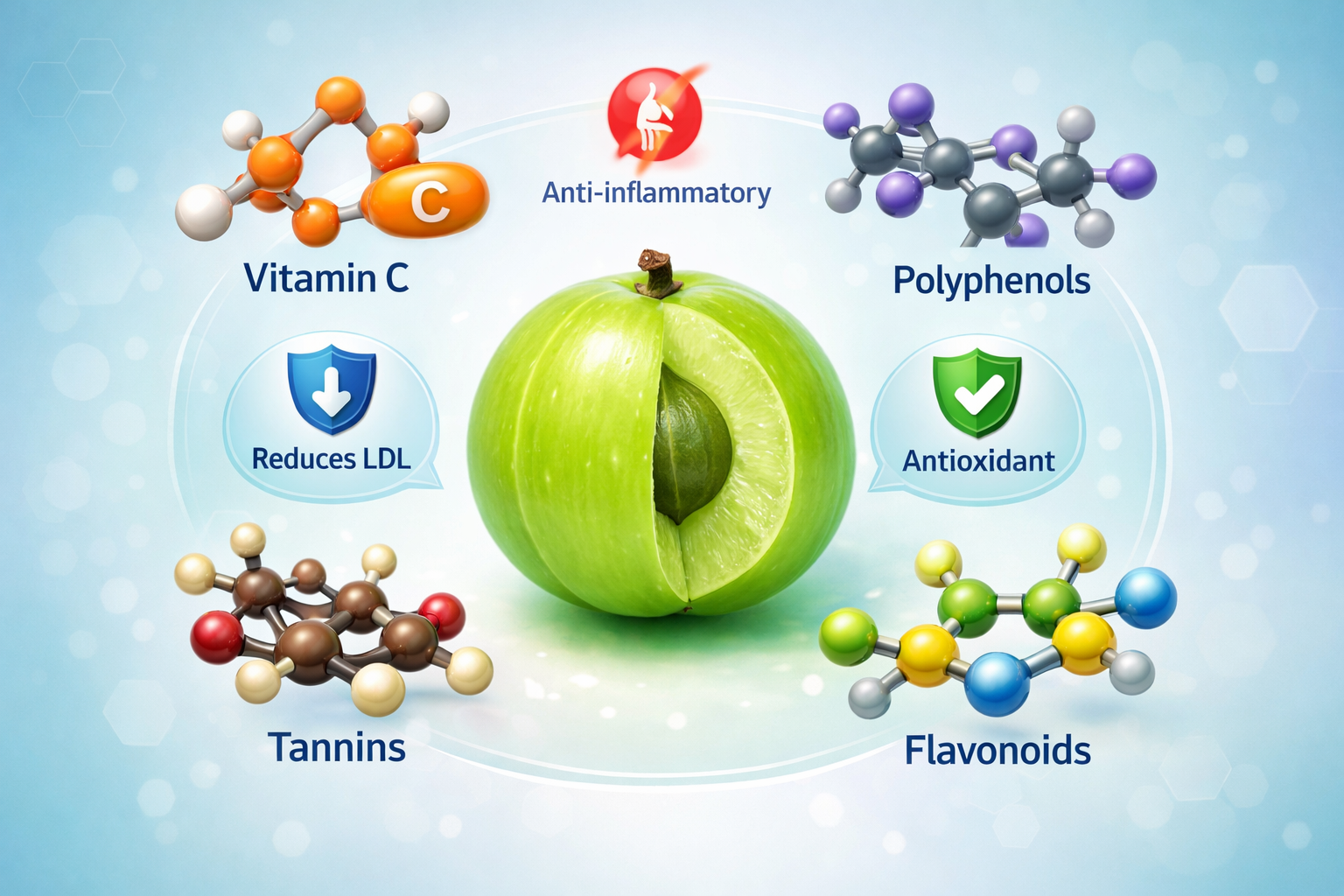 Zinc: crucial for proper enzyme function, including the enzymes involved in cholesterol synthesis and metabolism