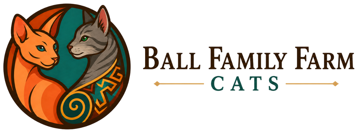 Ball Family Farm Sphynx Cats