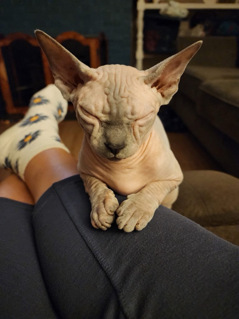 Queen Pixie