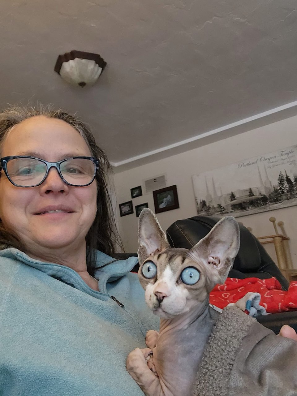 Ball Family Farm Sphynx services for Seattle, Washington