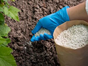 LAWN FERTILIZING in CENTENNIAL