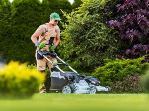 LANDSCAPE WEED SPRAYING in CENTENNIAL