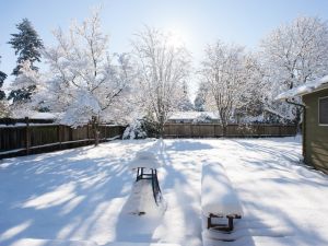 LANDSCAPE WEED SPRAYING in LITTLETON