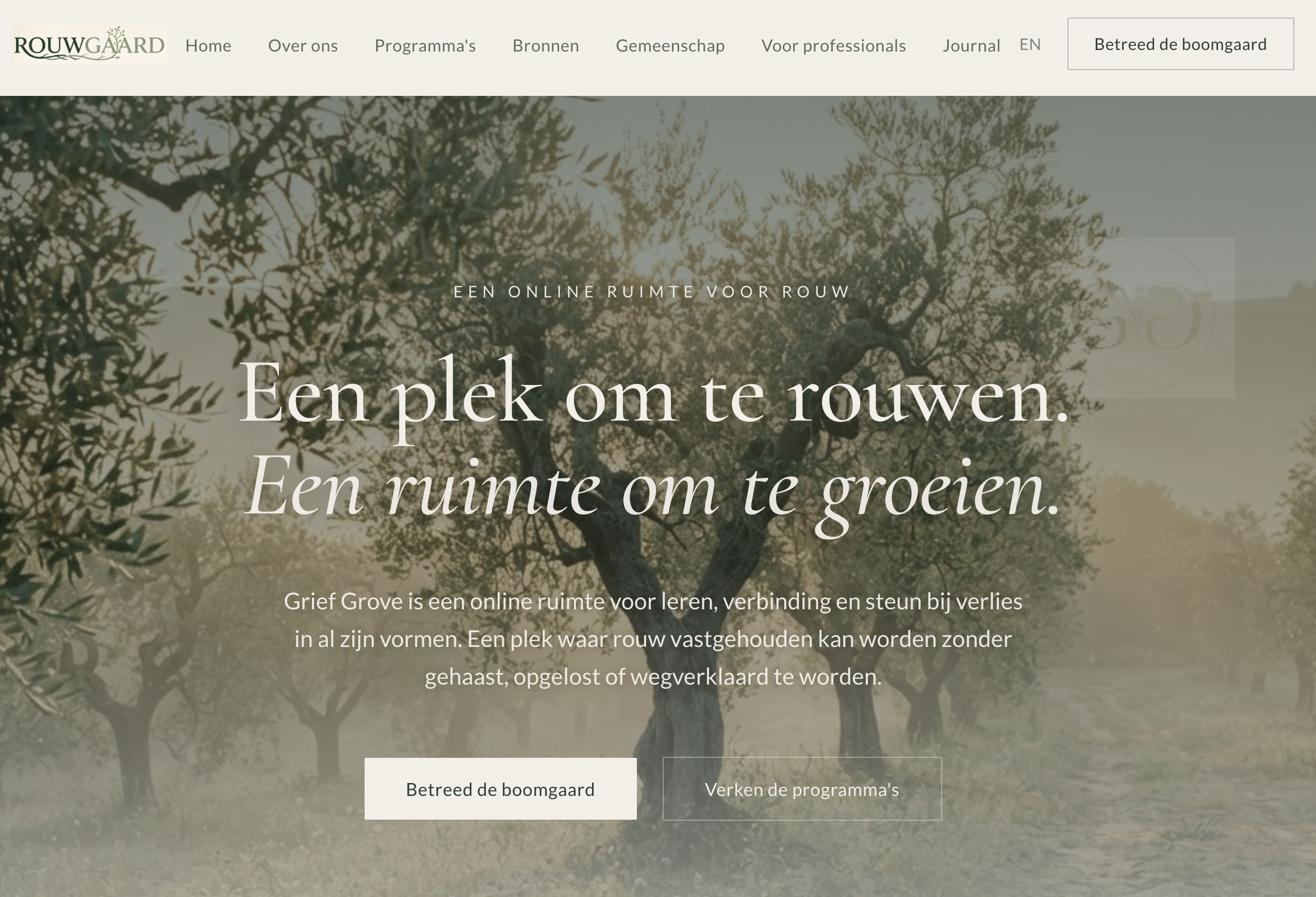 Expression 2 website screenshot