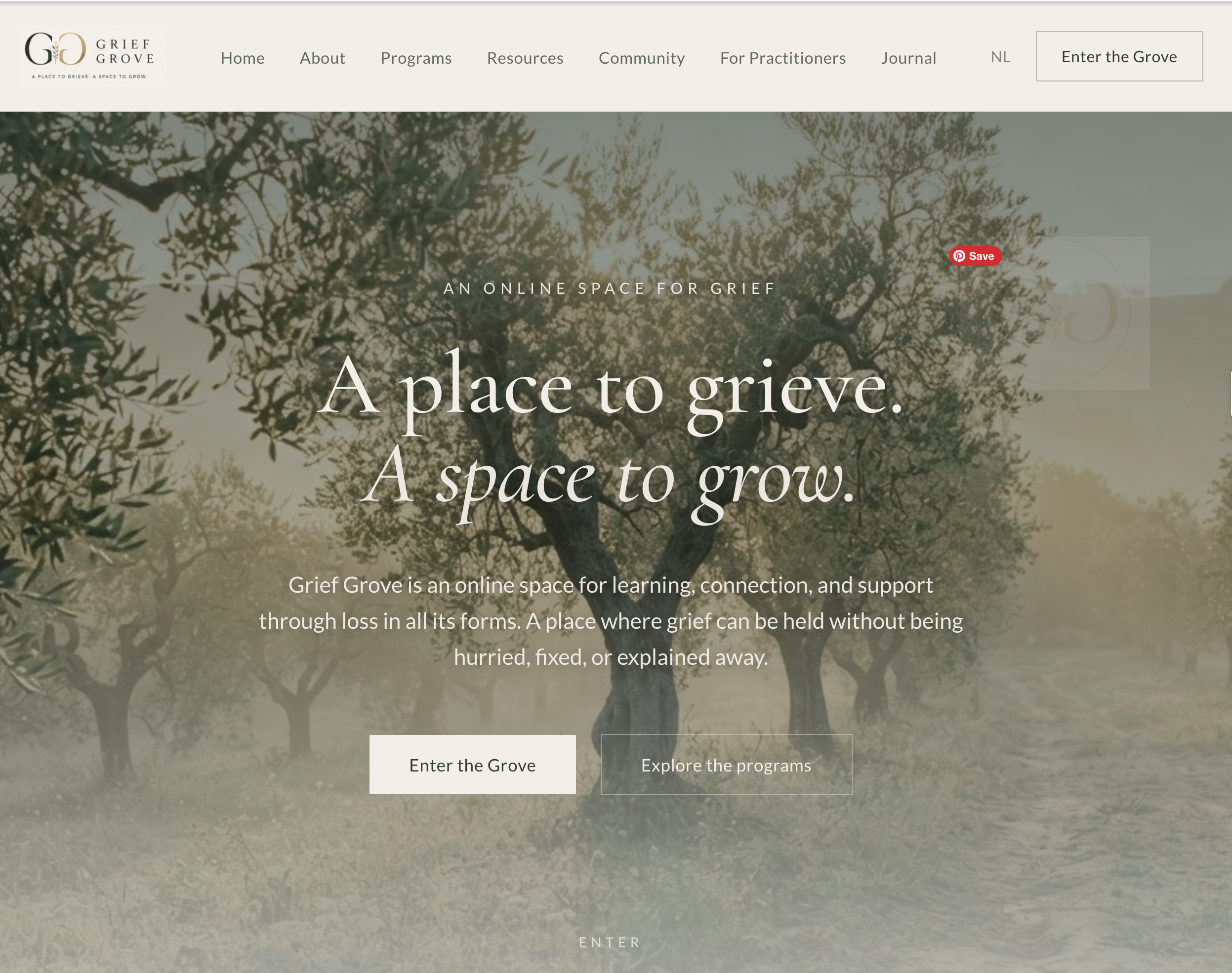 Expression 1 website screenshot