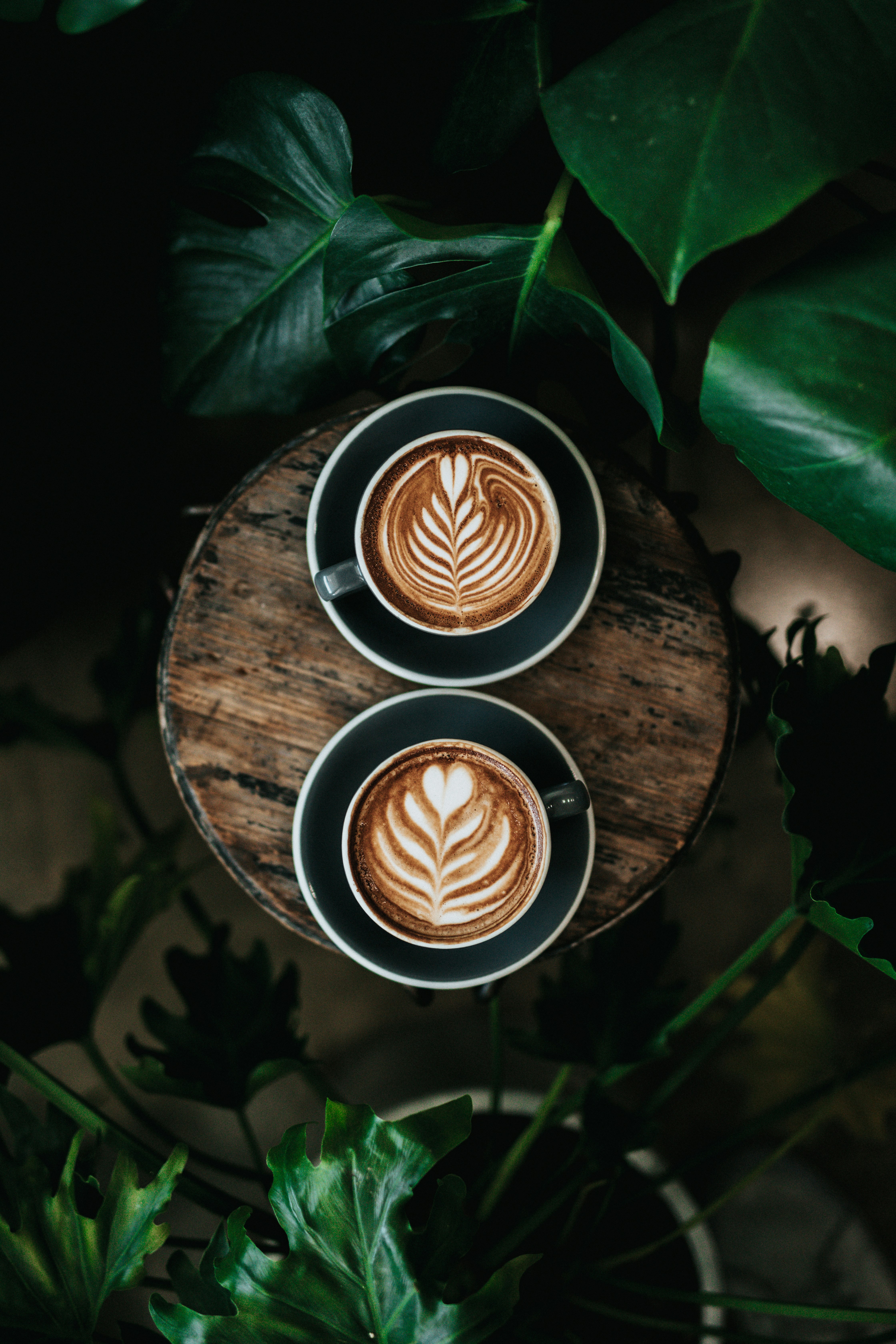 The Xpresso 2 U Luxury Mobile Coffee Van