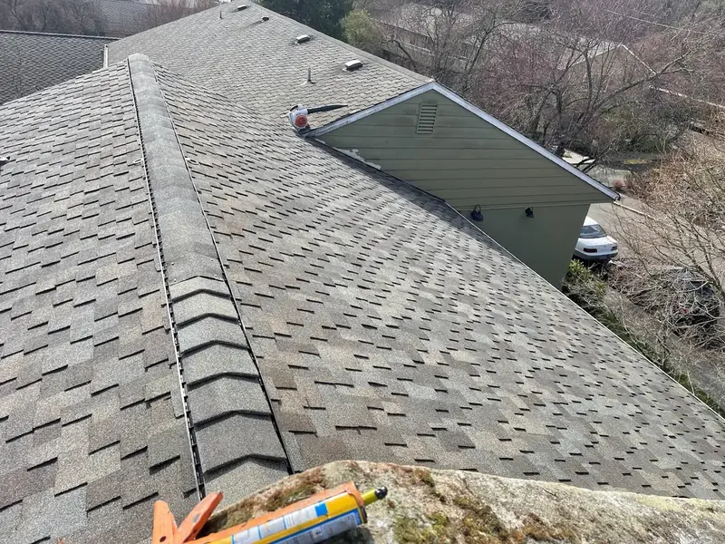Roofing project in Washington State - Image 28
