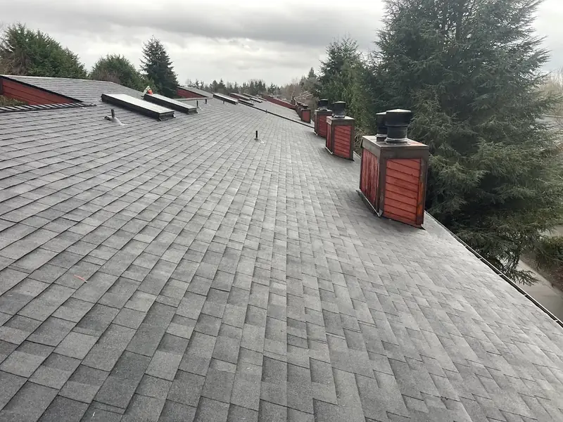 Roofing project in Washington State - Image 19