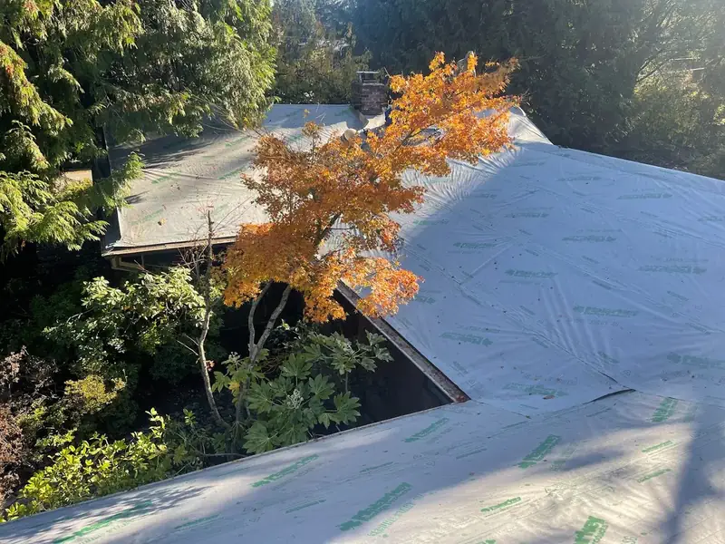 Roofing project in Washington State - Image 15