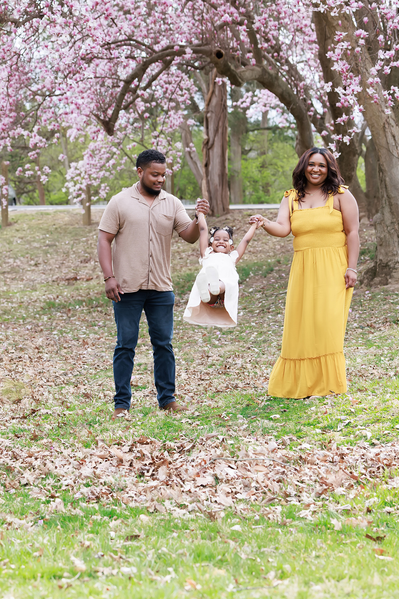 Parents swinging their laughing toddler daughter between them under blooming pink magnolia trees