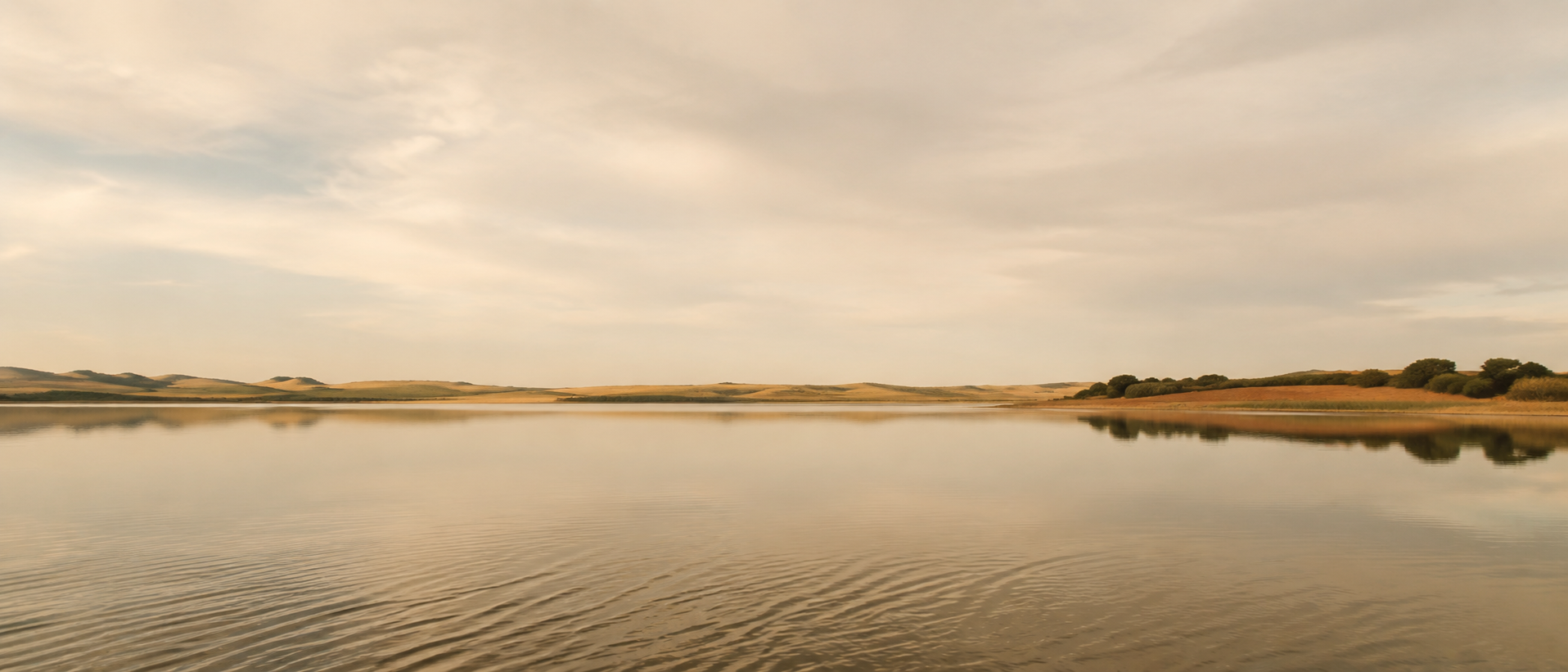A quiet landscape — ripples settling into stillness