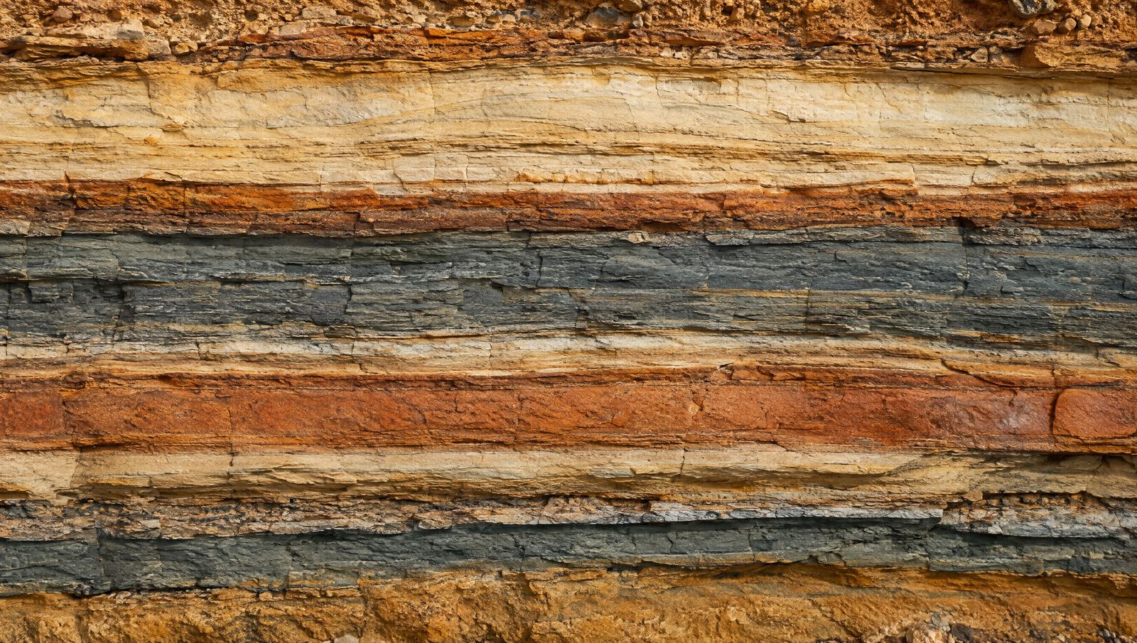 Layers of sedimentary rock in a cross-section