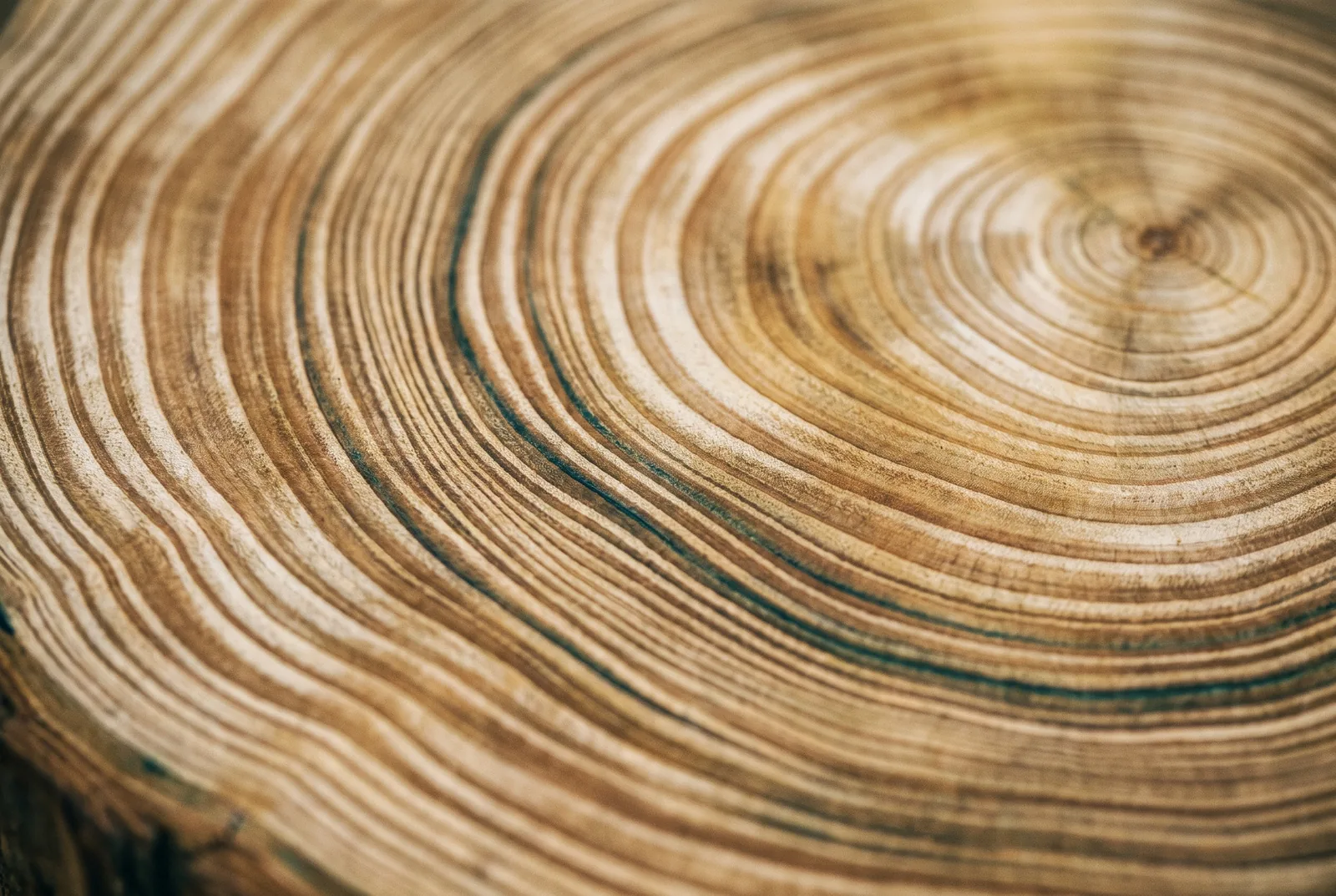 Concentric rings on still water