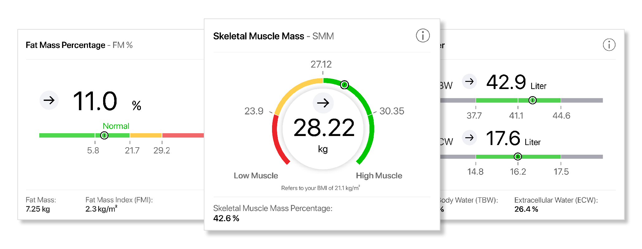 Sample SECA bioimpedance scan results