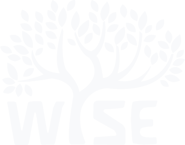 The WISE Logo