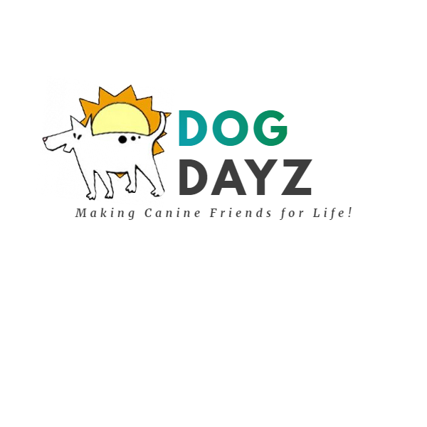 Schedule Your Dog Daycare Daypass Dog Dayz Doggie Daycare